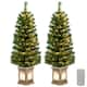 Option 2 PCS