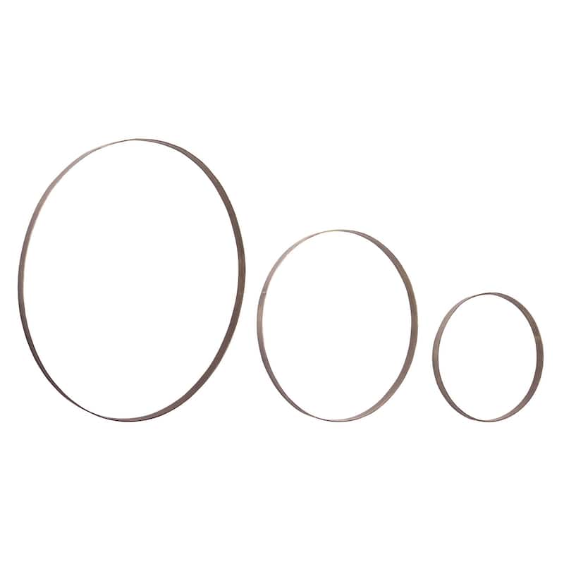 Iron Metal Rings Wall Display (Set of 3)
