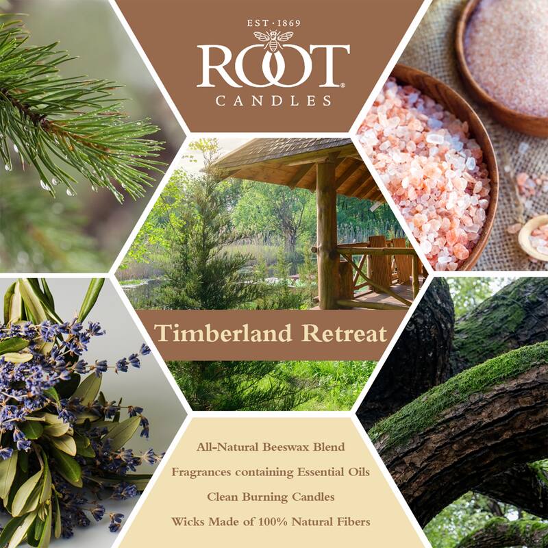 ROOT Candles Timberland Retreat Scented Candles
