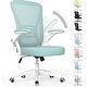 preview thumbnail 30 of 48, Ergonomic Office Mid Back Chair - N/A Green