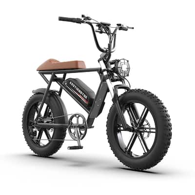 Electric Bicycle 750W Motor 20" Fat Tire With 48V 13AH Li-Battery