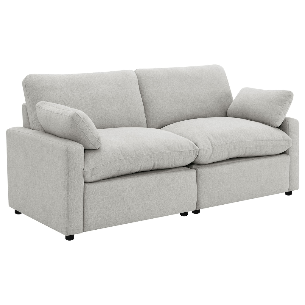 Biny Modular Power Reclining Loveseat, 2 Pillows, Light Gray, 86 Inch