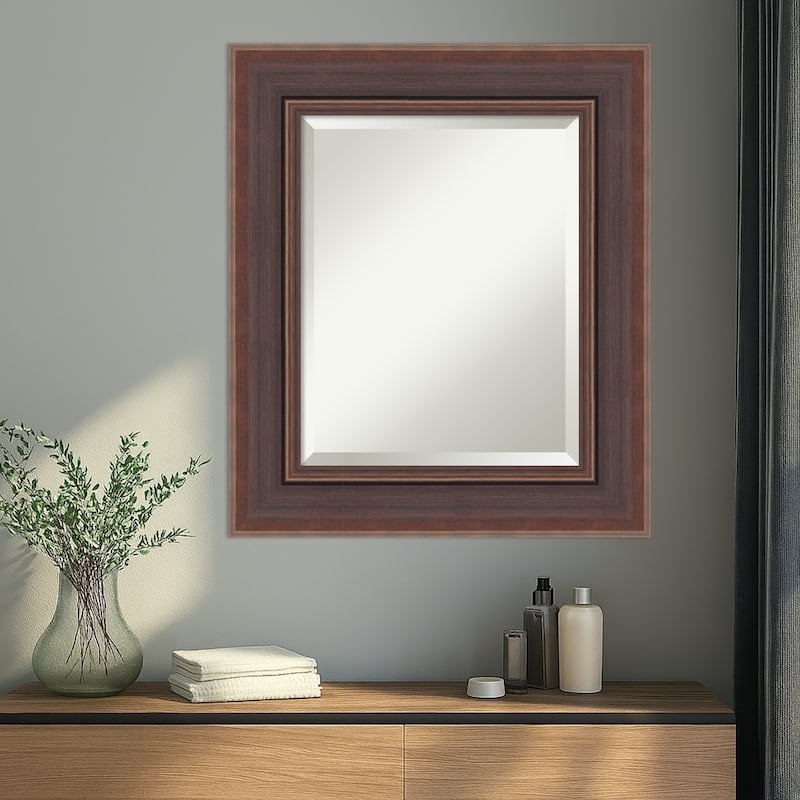 Moab Brown Bronze Beveled Framed Wall Mirror - Moab Brown Bronze