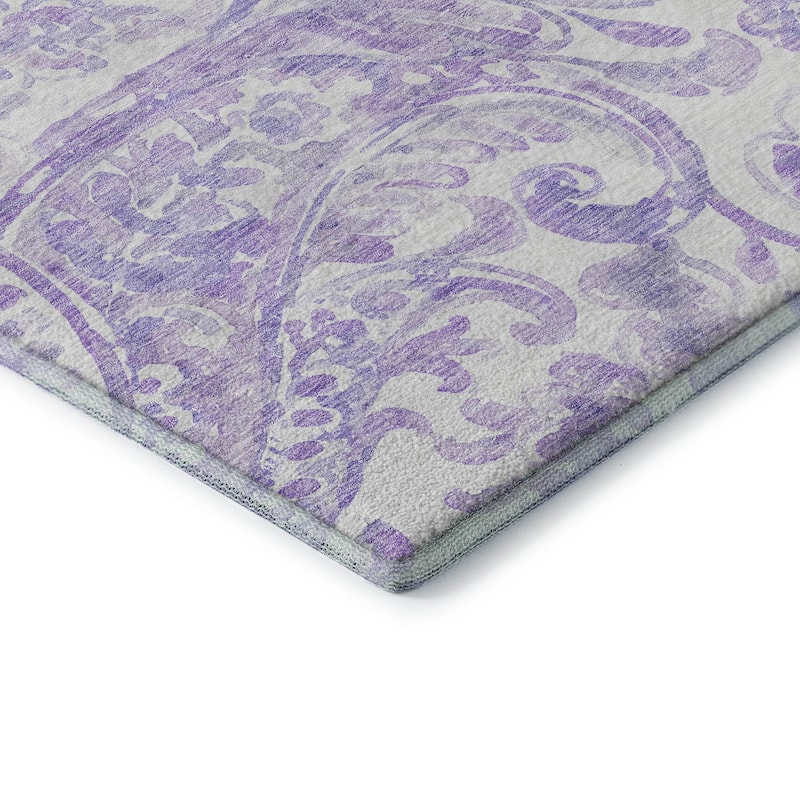 Premium Washable Super Soft Modern Paisley Mayfield Rug