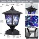 colorize solar lights coupon code colorize solar lights coupon code