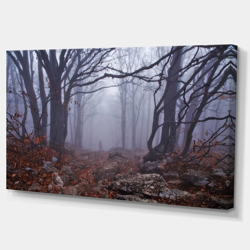 Dark Foggy Forest in Autumn - Landscape Photo Canvas Print