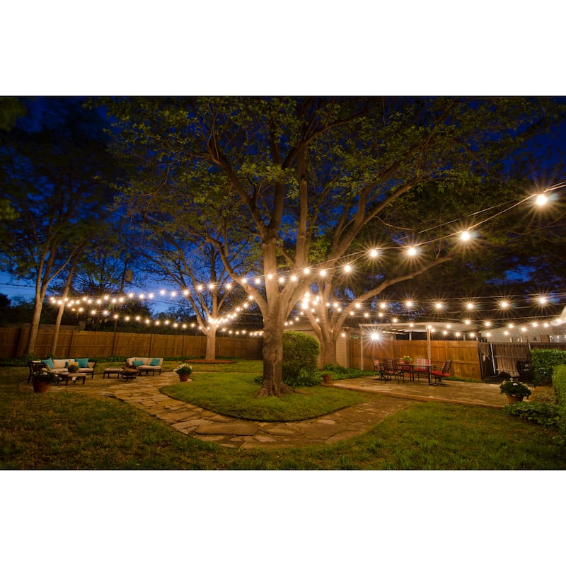 Bulbrite 14 Foot Indoor/Outdoor Black String Light with 10 -15 Watt Bulbs