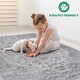 preview thumbnail 6 of 5, LOOM & LUXE Collection Silver/Oriental Non-Shedding Area Rug