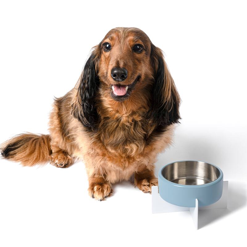 Intersecta Concrete & Steel Pet Feeder - 16oz with Metal Stand - Blue/White