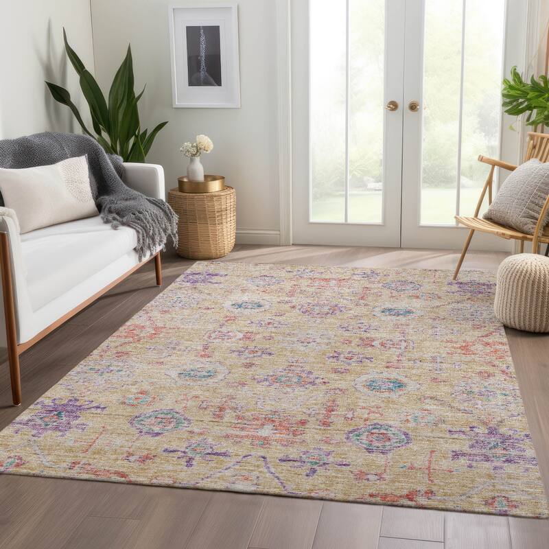 Machine Washable Indoor/ Outdoor Vintage Traditional Chantille Rug