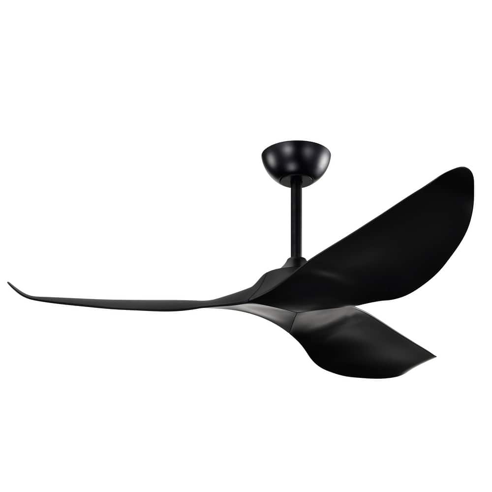 Duncan Modern 3 Bladed Ceiling Fan with Remote