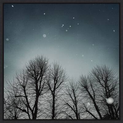 Winter Sky (Tree line) by Andre Eichman Framed Canvas Art