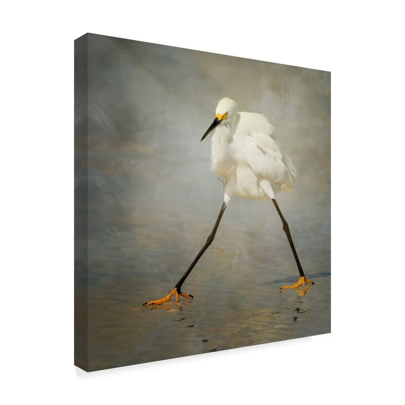 Alfred Forns 'The Rock Star' Canvas Art