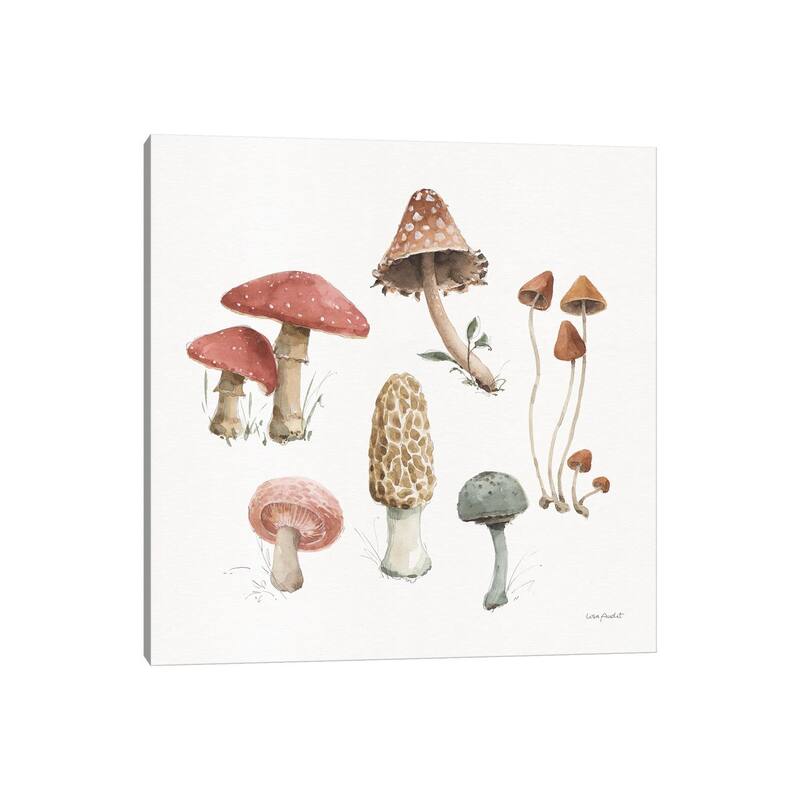 iCanvas "Mushroom Medley III" by Lisa Audit Canvas Print