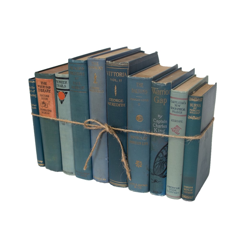 Books Blue Decorative Accessories: Vintage Marlin ColorPak