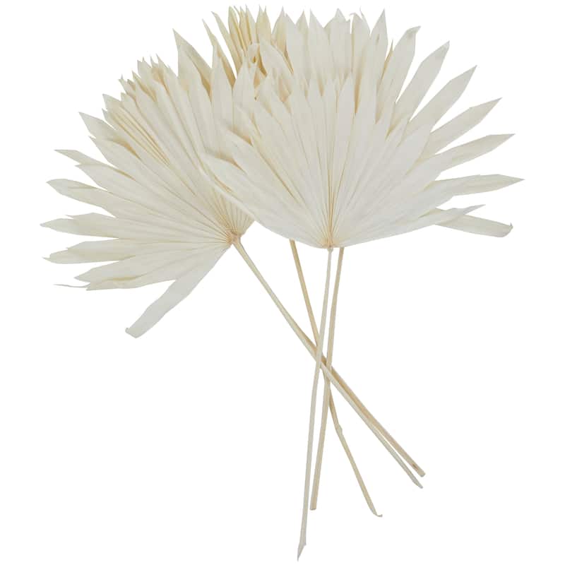 White or Dark Brown Dried Plant Handmade Large Sun Spear Palm Leaf Natural Foliage