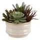 preview thumbnail 1 of 4, Uttermost Mesa Succulent Accent - 10"W x 9"H x 10"D