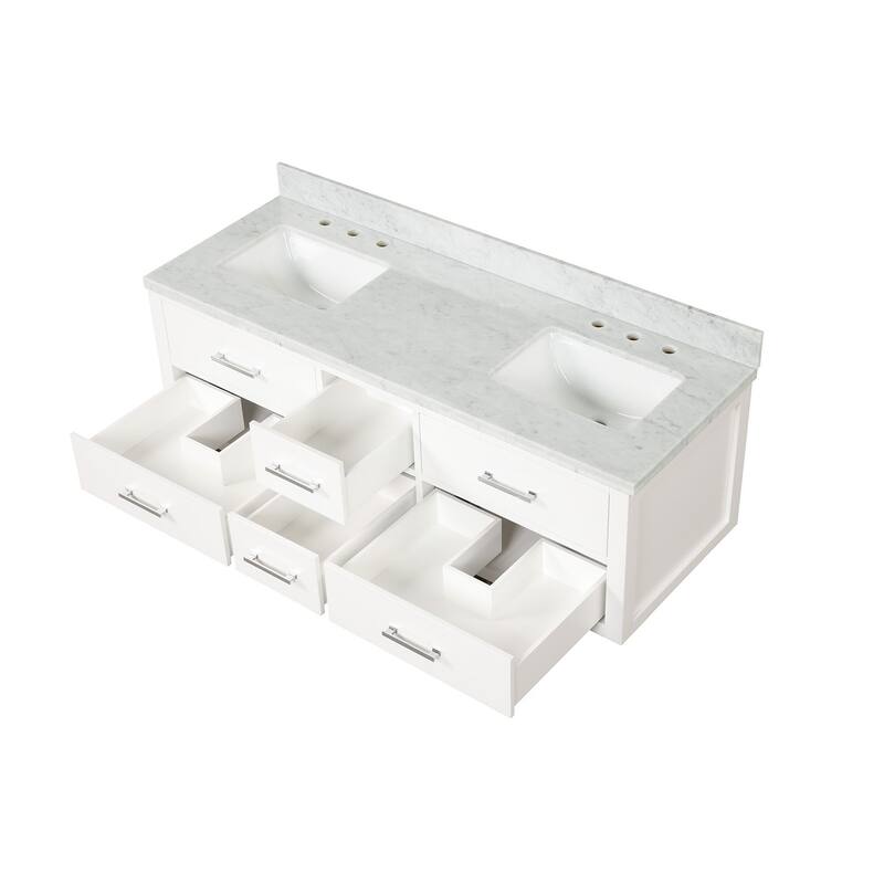 Lexora Castor Double Bath Vanity and Carrara Marble Top