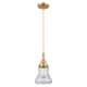 Option Satin Gold / Clear Shade