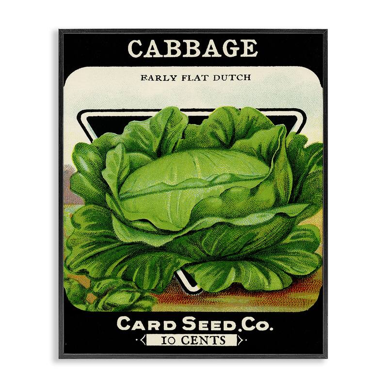 Stupell Vintage Garden Cabbage Framed Giclee Art Design By Lil' Rue - 16 x 20 - Black