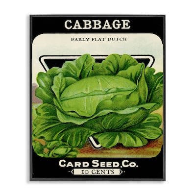 Stupell Vintage Garden Cabbage Framed Giclee Art Design By Lil' Rue