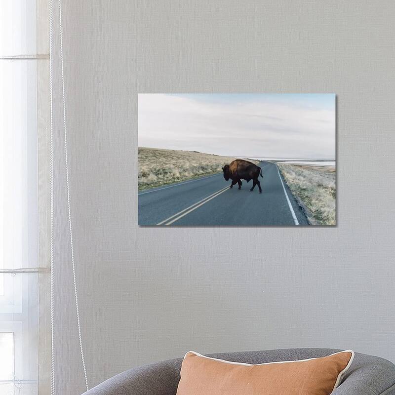 iCanvas "Buffalo Bison" by Chelsea Victoria Canvas Print - 18x26x1.5