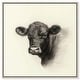 preview thumbnail 13 of 60, Darkness in Detail of Cow Canvas Animal Art Prints by Art Remedy 12" x 12" - Silver