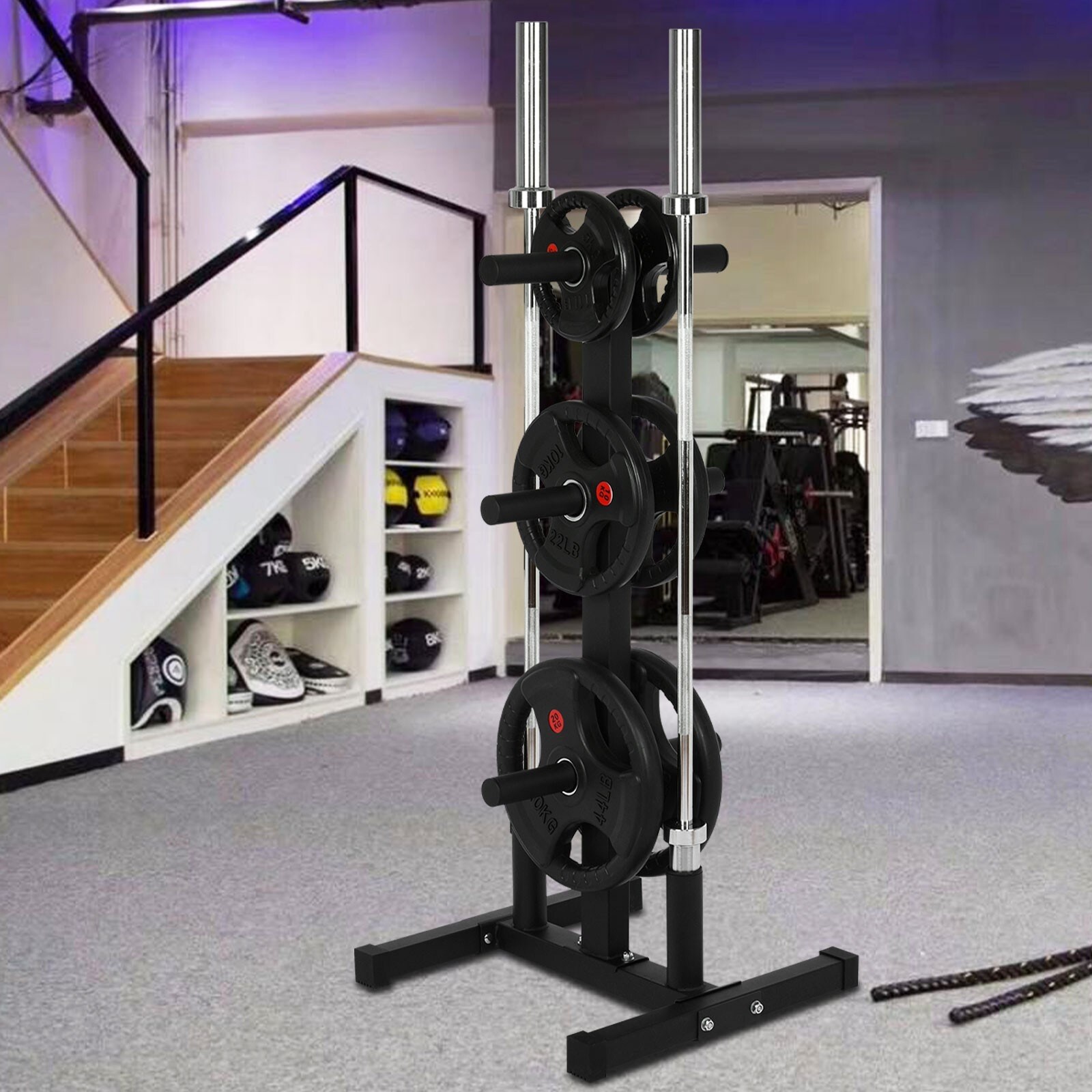 Weight plate rack canada deals