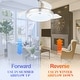 preview thumbnail 8 of 38, 36" Modern Retractable Ceiling Fan with Led Light, 6-Speed Reversible Ceiling Fan with Remote - 36
