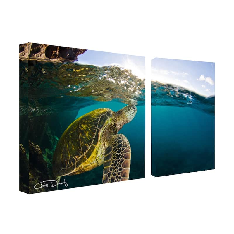Ready2HangArt 'Maui Turtle Drifts' 2-Piece Wrapped Canvas Wall Art Set