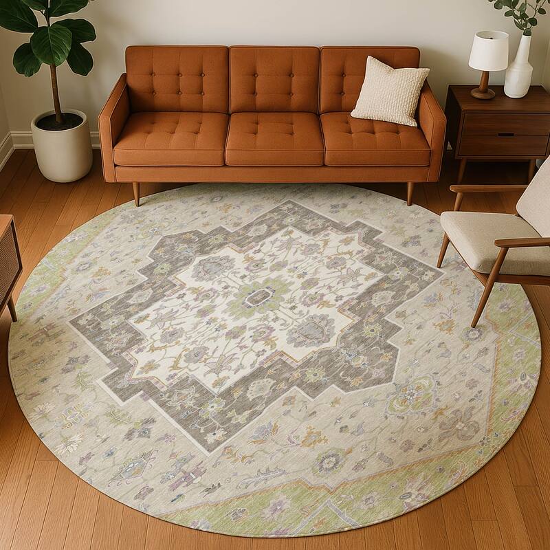 Machine Washable Indoor/ Outdoor Traditional Kolkata Chantille Rug