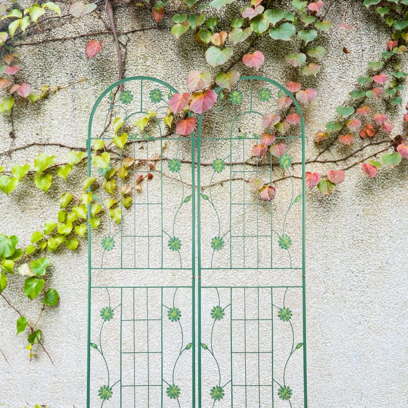 2/4 Pack Metal Garden Trellis for Climbing Plants Outdoor 71" x 19.7" Country Style Plant Support Rustproof Metal Rose Trellis