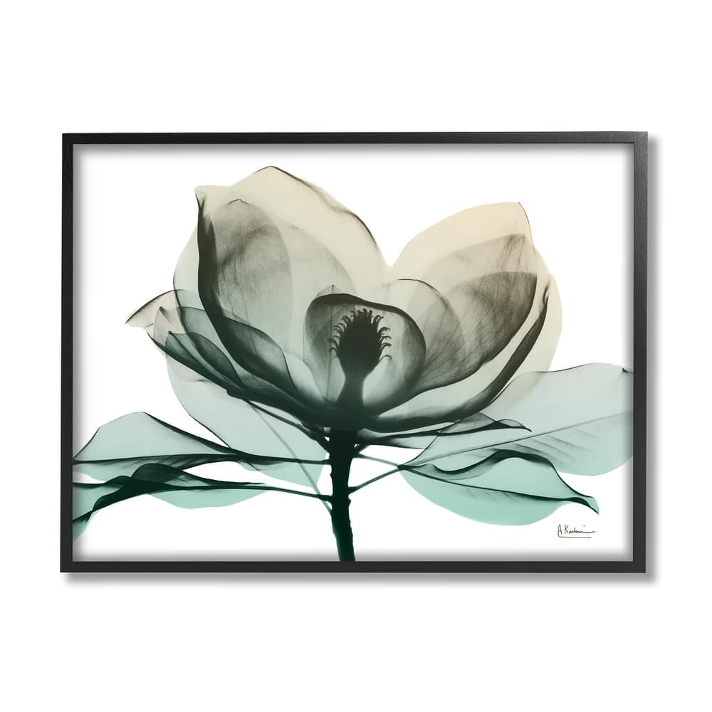Stupell Green X-Ray Flower Framed Giclee Art Design by Albert Koetsier