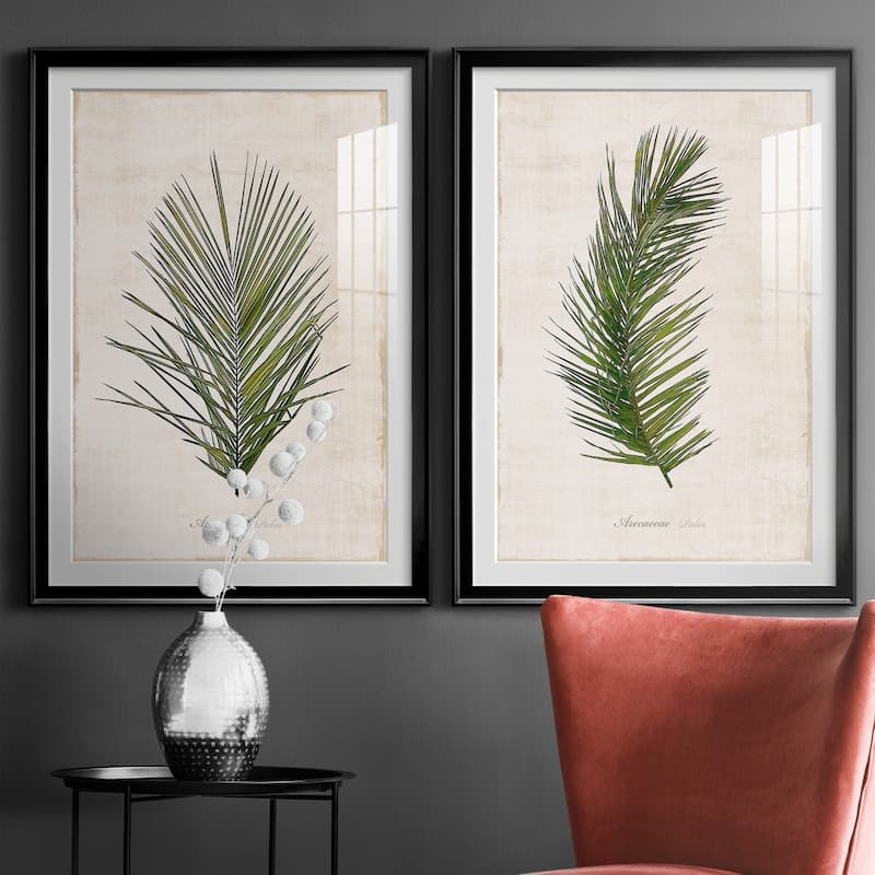 Palm Botanical I Premium Framed Print - Ready to Hang