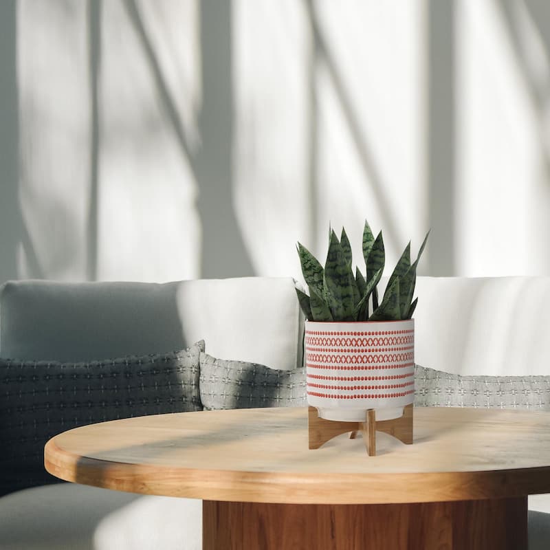 10-inch Ceramic Planter with Wood Stand,Orange