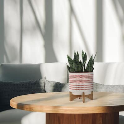 10-inch Ceramic Planter with Wood Stand,Orange