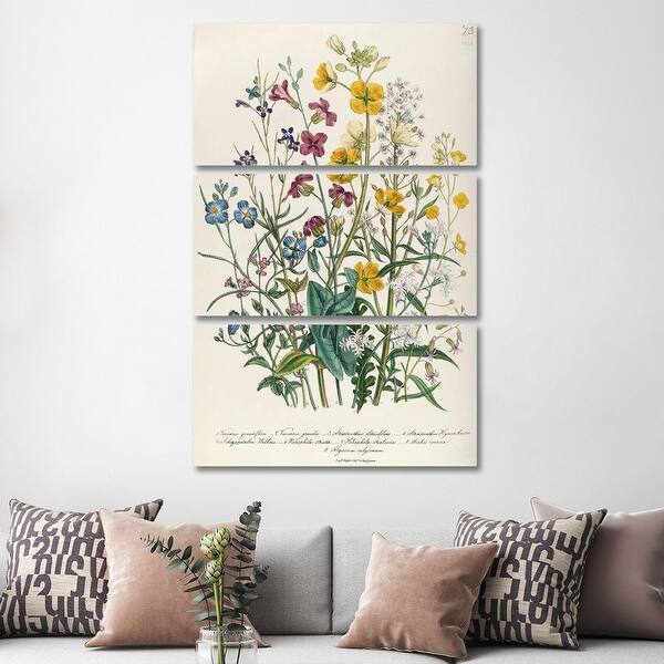 slide 4 of 4, iCanvas "Forget-Me-Nots And Buttercups, Plate XIII, The Ladies' Flower Garden" by Jane Loudon 3-Piece Canvas Wall Art Set 60x40x1.5