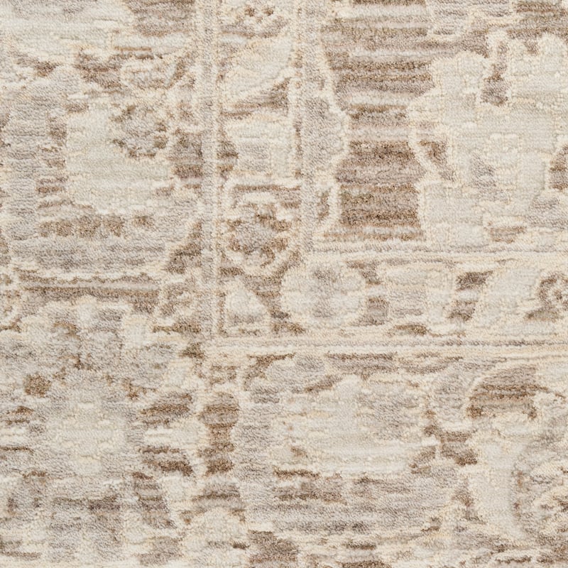 Nourison Shadows Indoor only Persian Area Rug