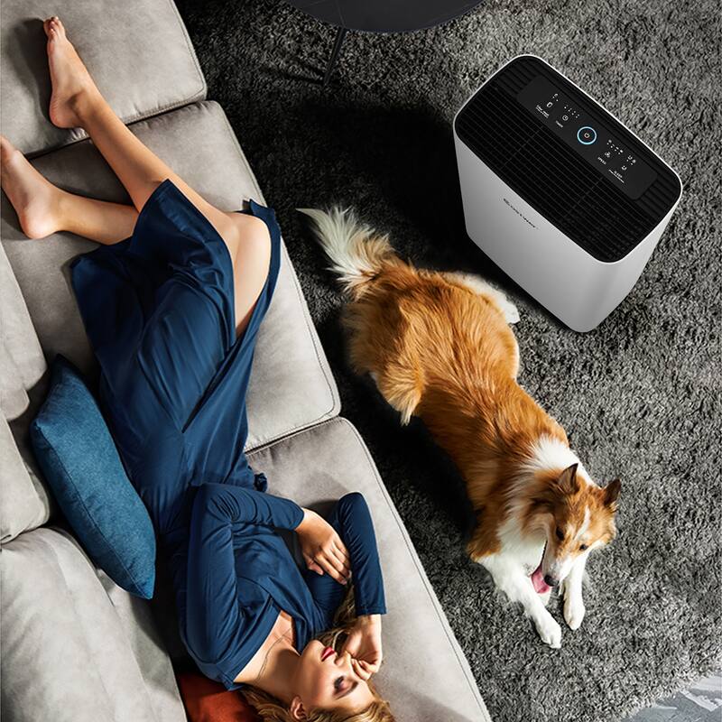Costway Air Purifier True HEPA Filter Carbon Filter Air Cleaner Home - See Details