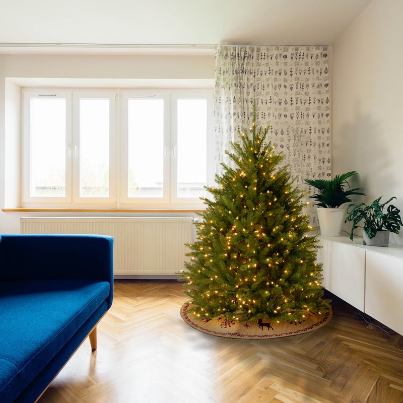 National Tree Company 4 ft. Dunhill Fir Tree with Clear Lights - 4 Foot - 4 Foot - Green