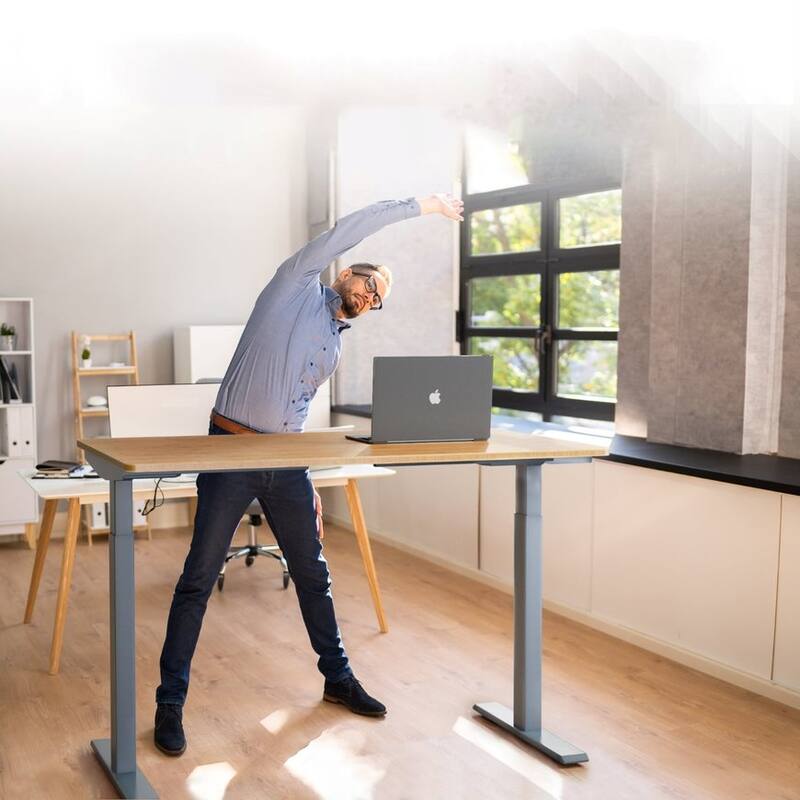 Rise Up Electric Standing Desk Dual Motor 48x30 solid bamboo desktop