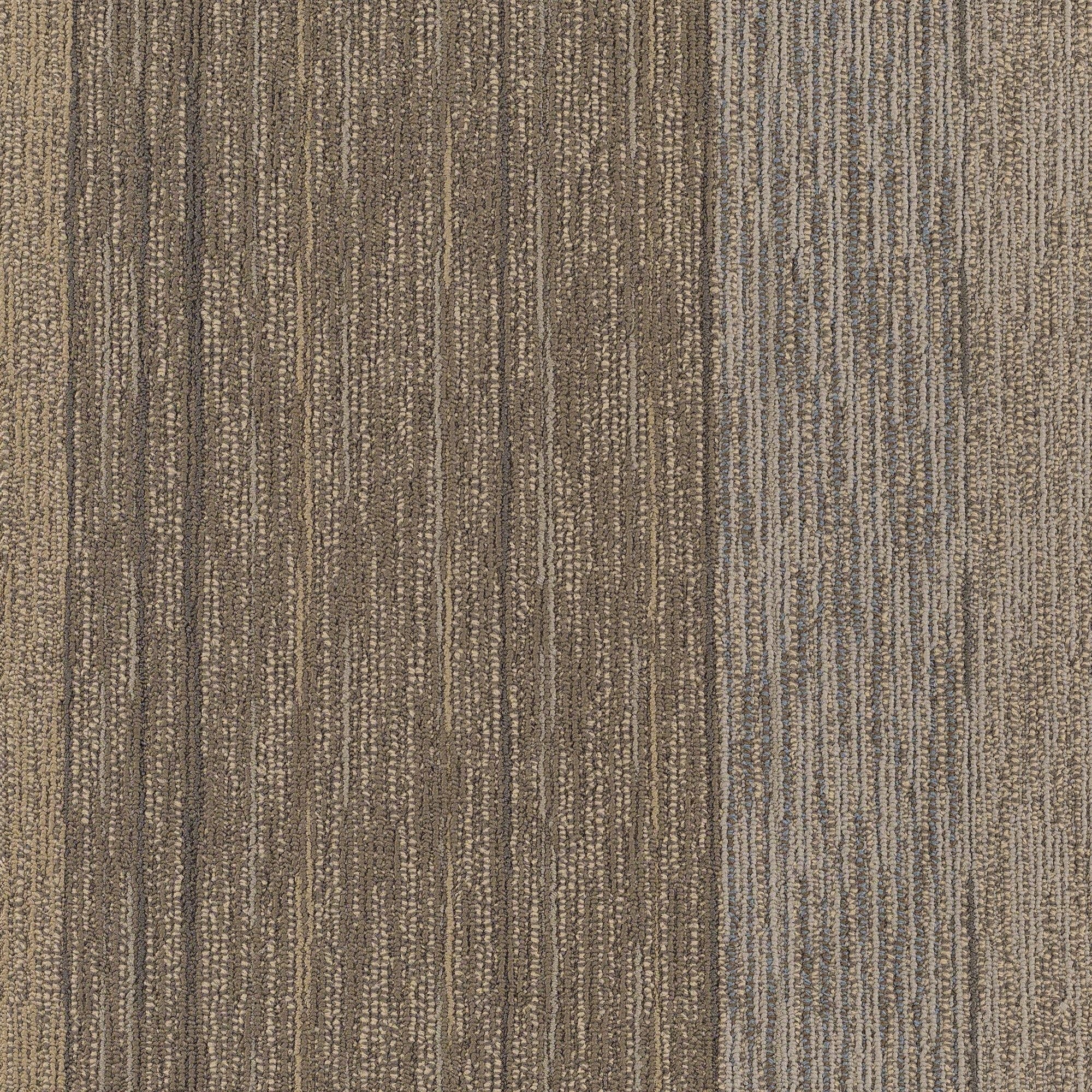 Shaw Philadelphia Commercial Unscripted 24" x 24" Glue Down Carpet