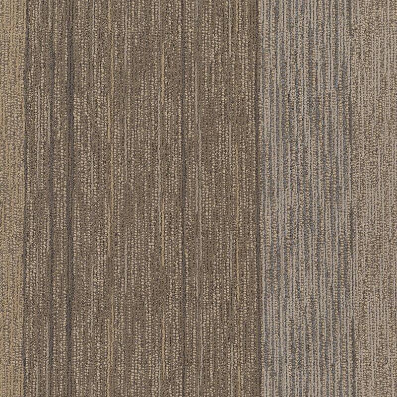 Shaw Philadelphia Commercial Unscripted 24" x 24" Glue Down Carpet - Press Conference