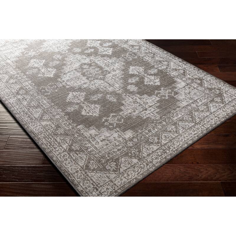 Susannah Indoor / Outdoor Updated Traditional Area Rug