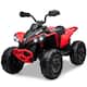 Option Red