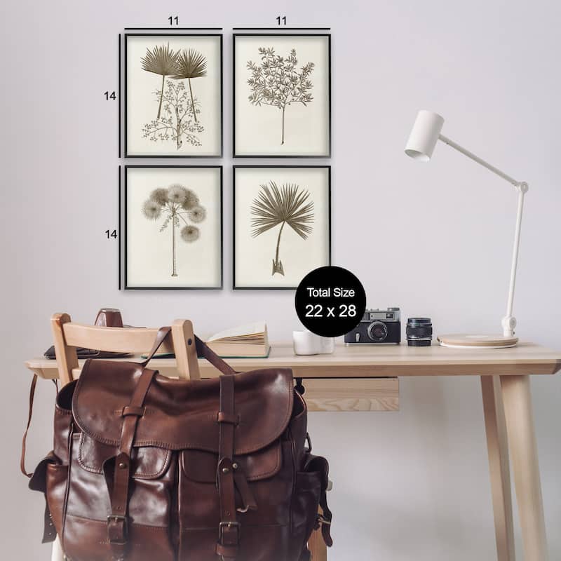 Stupell Various Vintage Palm Leaves Framed Giclee Art Design By Phillipa Katz (Set of 4)