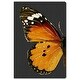 preview thumbnail 2 of 8, Oliver Gal 'Monarch and Glitter Butterfly' Animals Wall Art Canvas Print Insects - Orange, Black