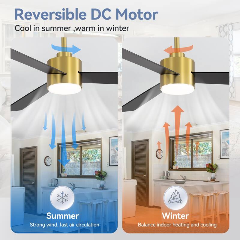 52-inches 3-Blade Ceiling Fan With Remote Downrod