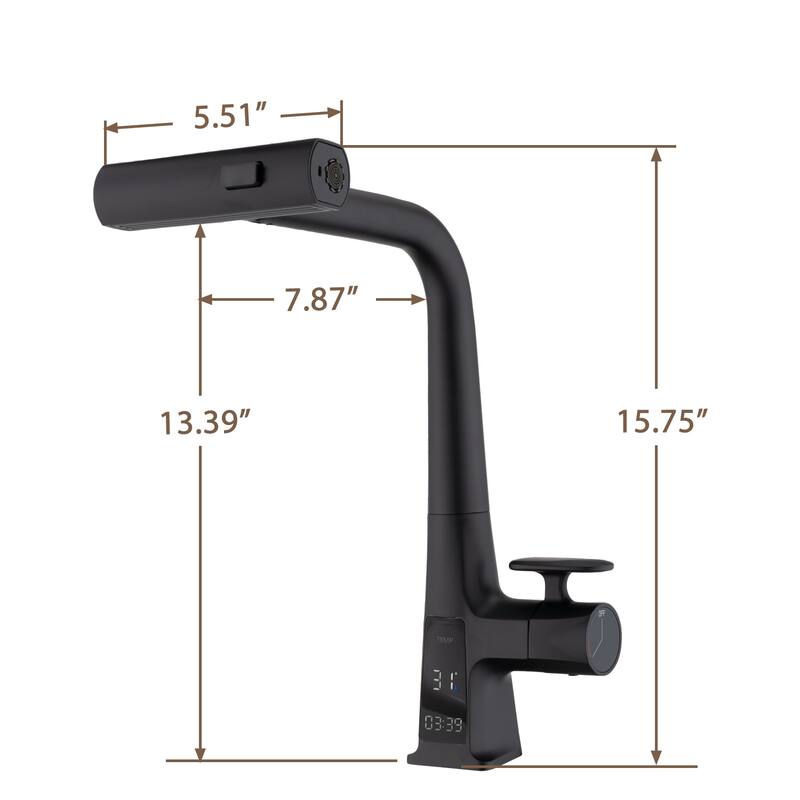Kitchen Faucet with Temperature Display