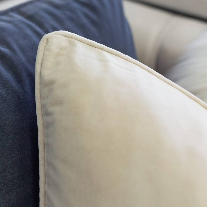 Elisa Velvet 20" Square Decorative Throw Pillow 2PK